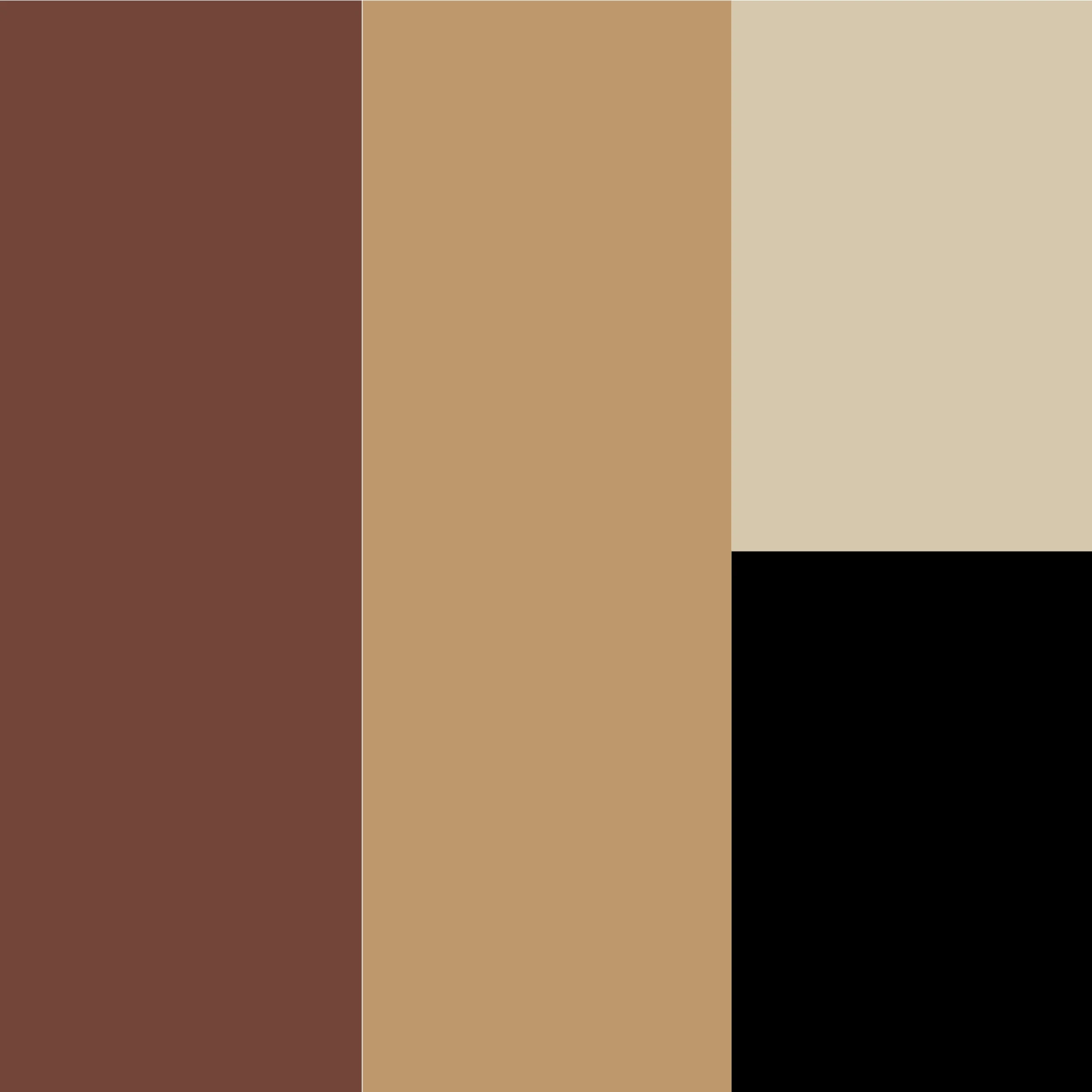 Zarvany color palette